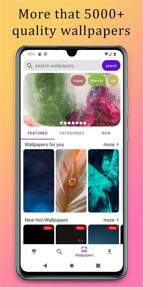 themes国际版截图3