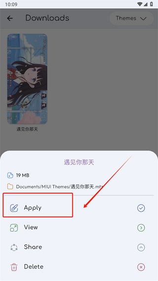 themes国际版说明图5
