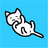 我和猫猫的生活