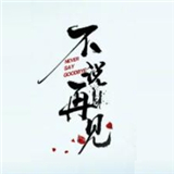 不说再见游戏