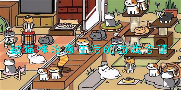 被猫咪治愈生活的