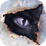 黑猫奇闻社公测版