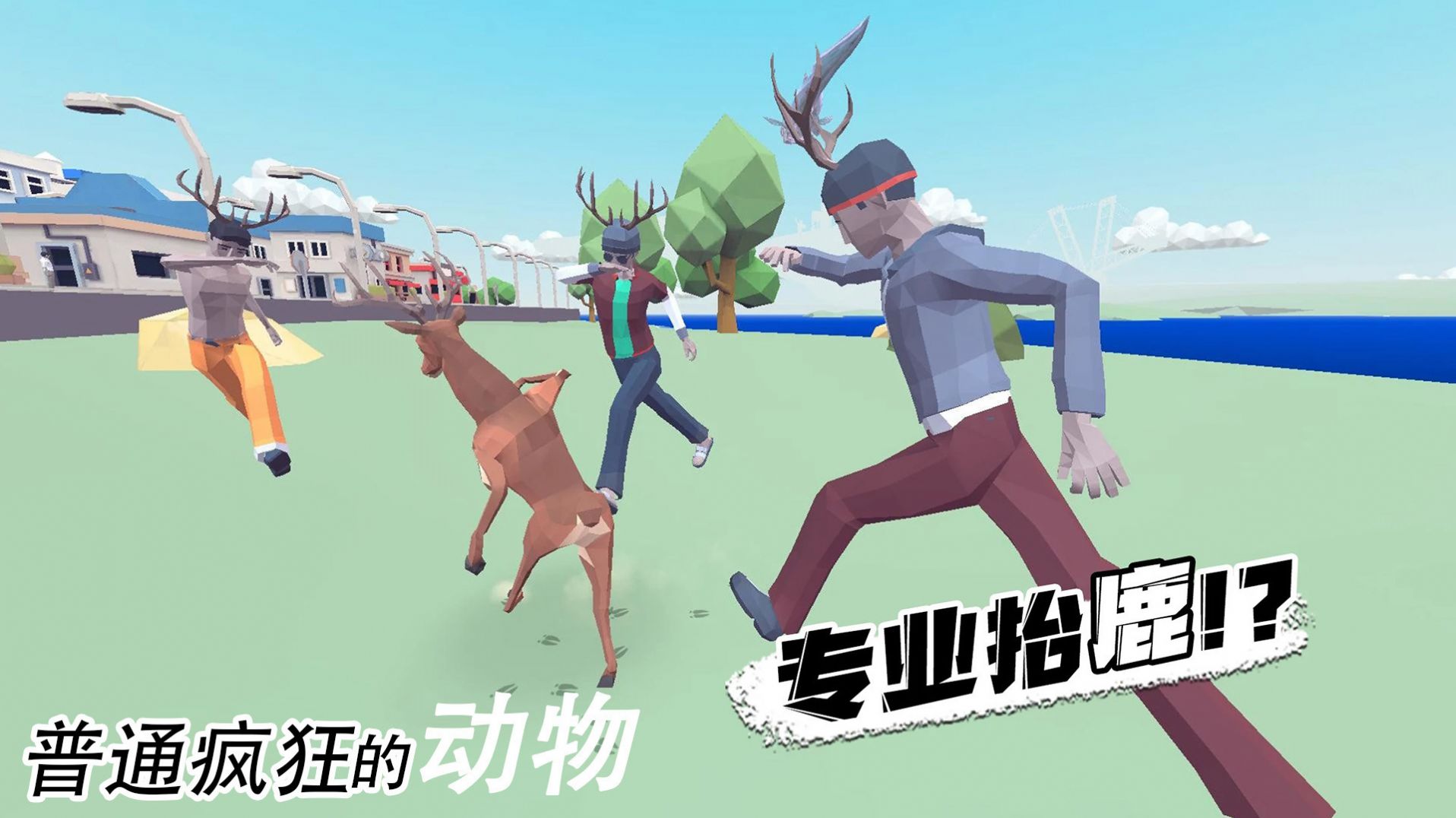 普通疯狂的动物新版