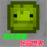 甜瓜像素乐园世界
