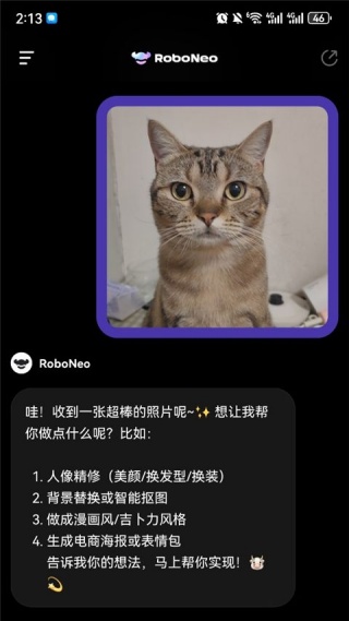 roboneoai说明图2
