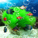 水族馆动态壁纸app