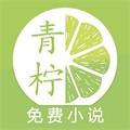 青柠小说appapp