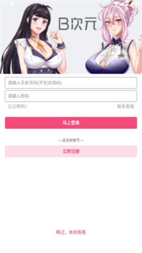 b次元安装包
