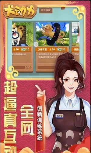 犬动力官方