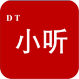 dt小听摄像头检测