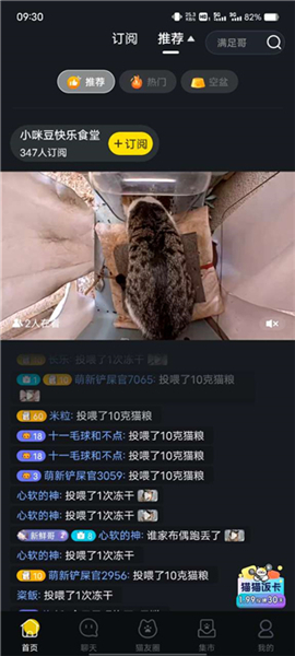 哈啰街猫app