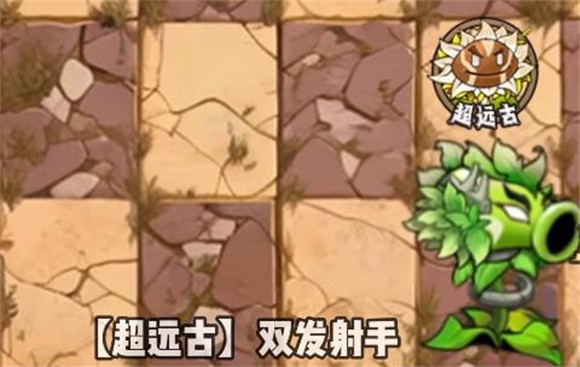 植物大战僵尸神奇植物版