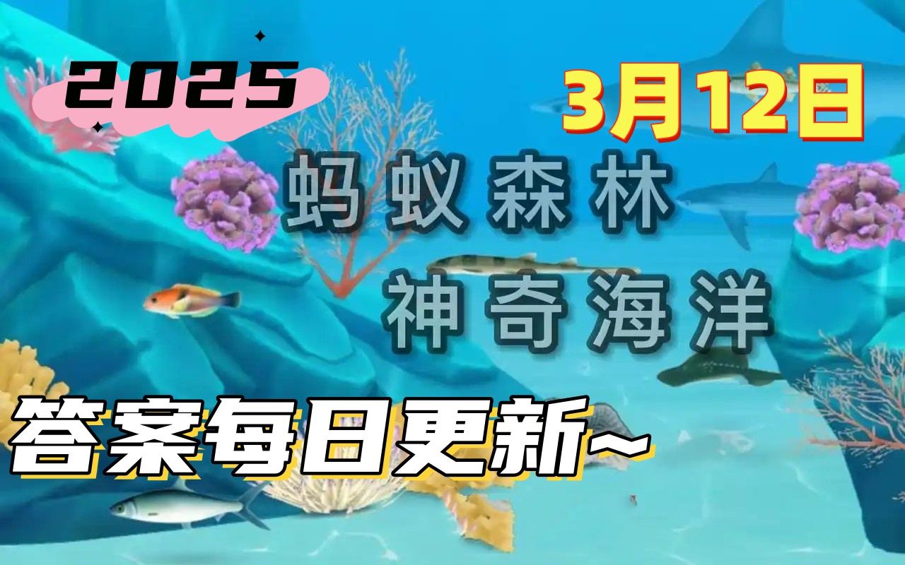 双髻鲨擅长以下哪种游泳方式-神奇海洋3月12日科普问答2025