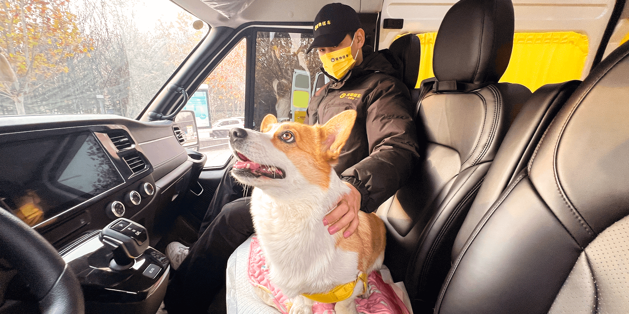 宠物搭车