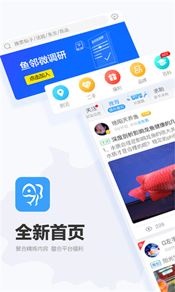 龙巅