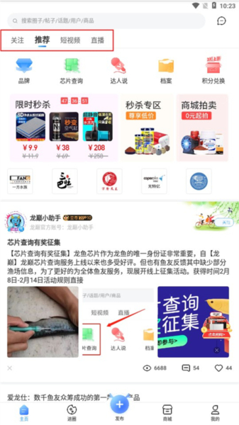 龙巅