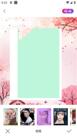 ProMovie专业相机