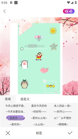 ProMovie专业相机