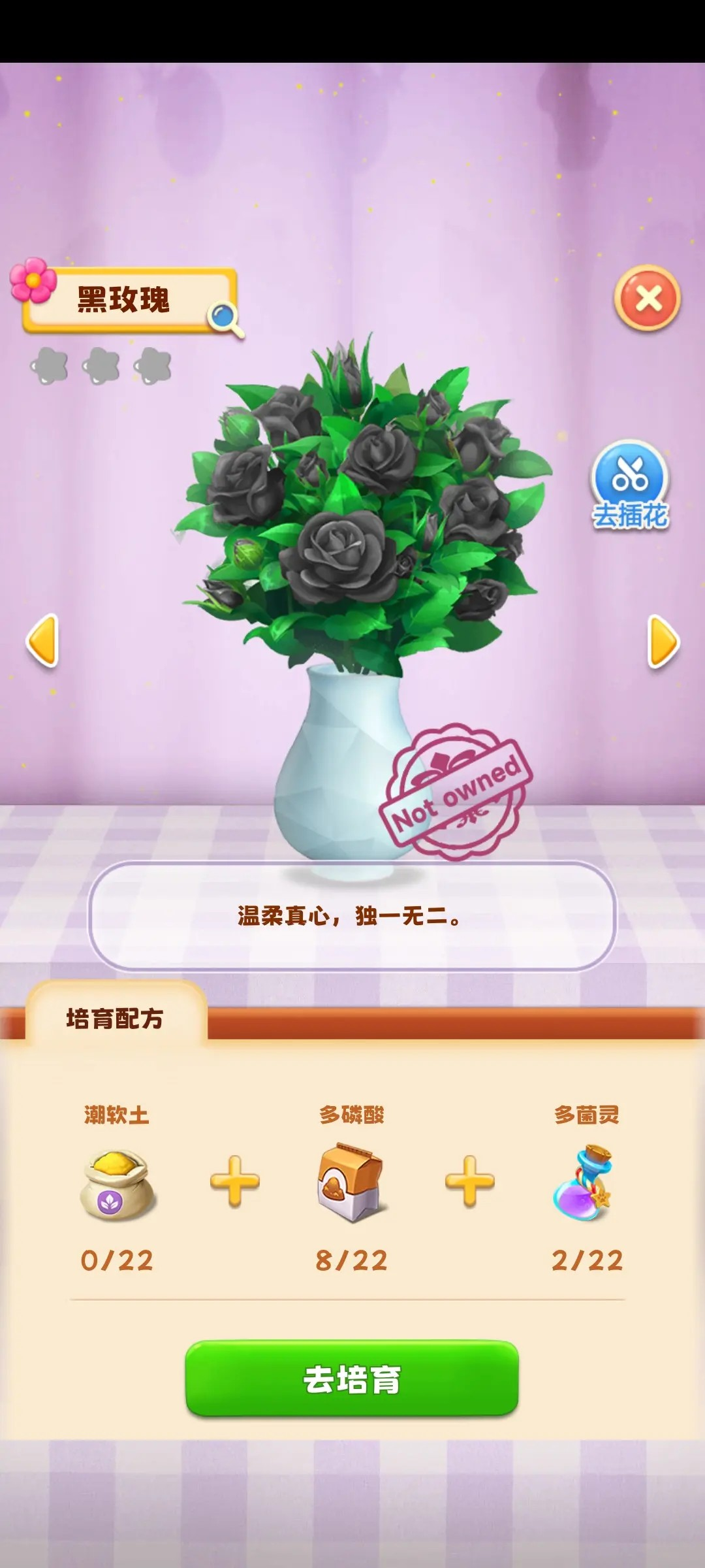 动物花店