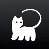 拦截猫