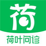 荷叶问诊