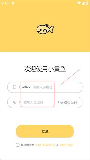 小黄鱼写作