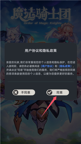 魔法骑士团