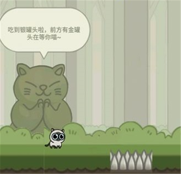 猫咪冒险记