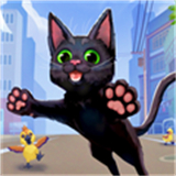 小猫咪大世界