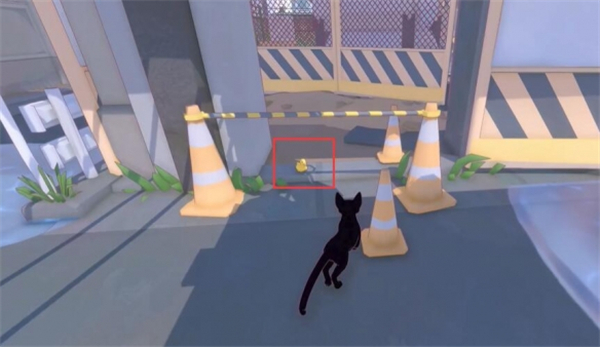 小猫咪大世界