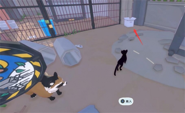 小猫咪大世界