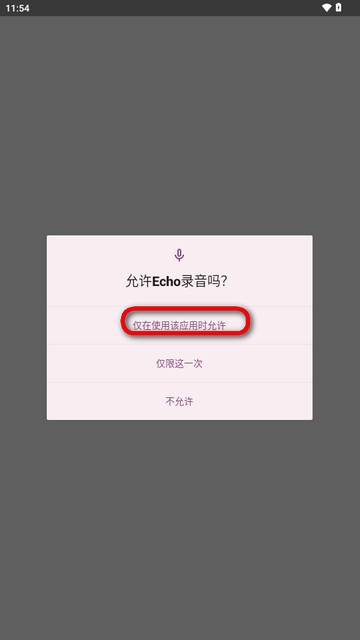 Echo回声