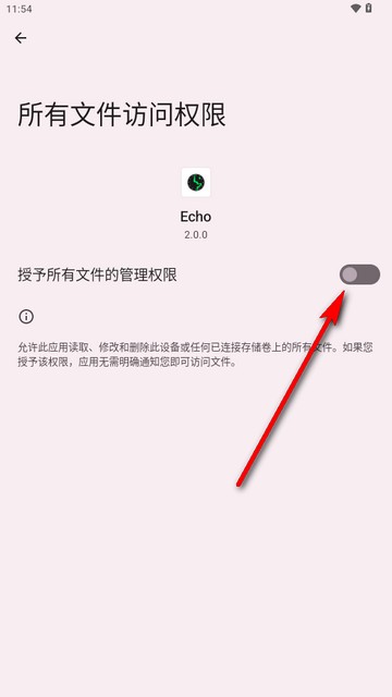Echo回声