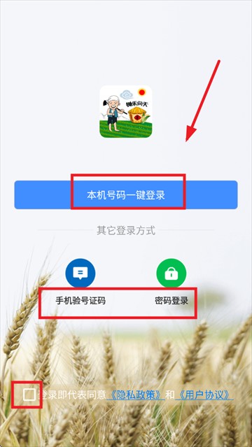锄禾问天