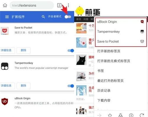 KiwiBrowser