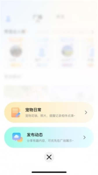 哆伽宠
