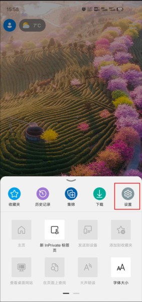 微软浏览器
