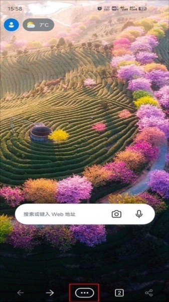 微软浏览器