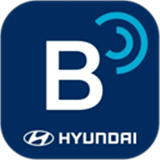 BlueLink