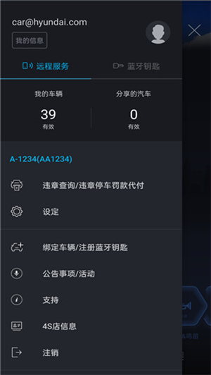 BlueLink
