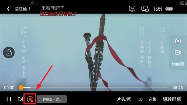 白天鹅追剧
