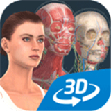 HumanBody