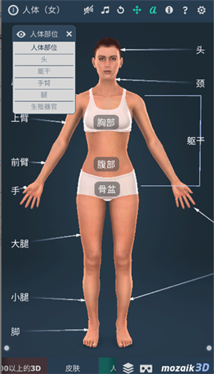 HumanBody