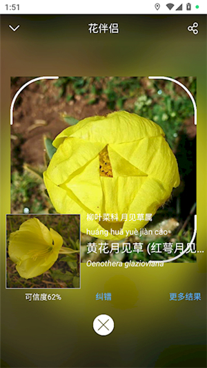 花伴侣识花