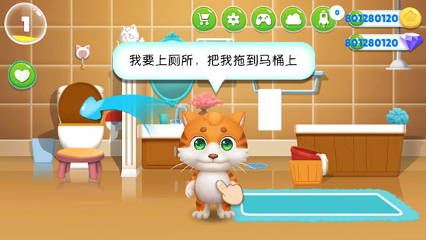我的皮皮猫