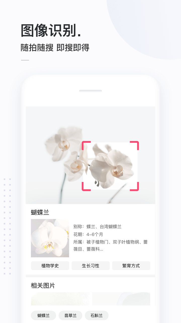 简单搜索旧版本