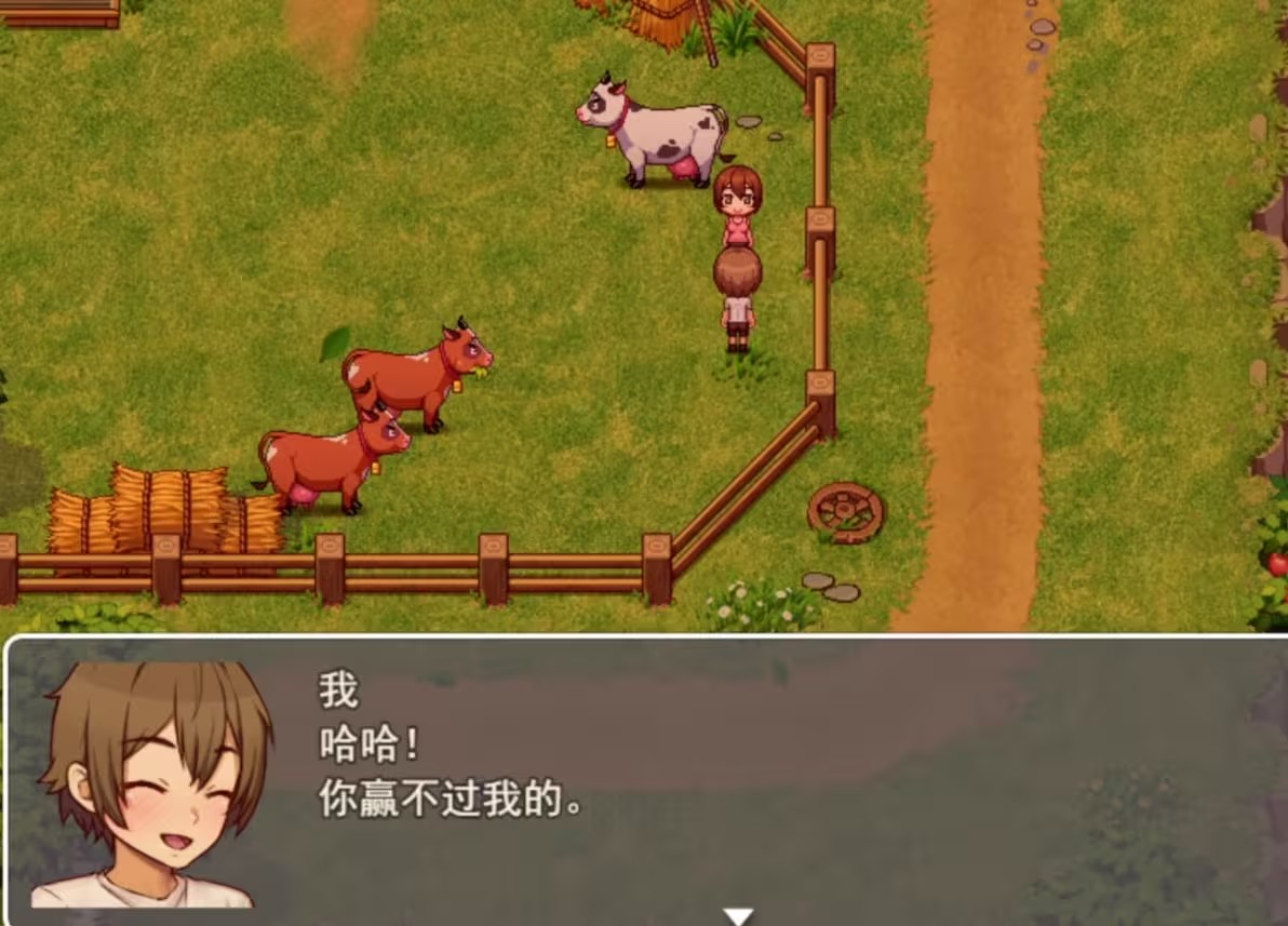 我的乡村日常生活汉化版