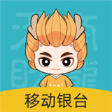 移动银台Pro