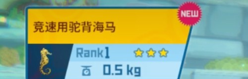 潜水员戴夫
