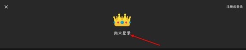 纯纯写作pro版